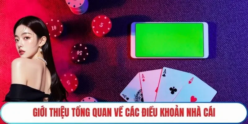 Giới thiệu tổng quan về các điều khoản nhà cái